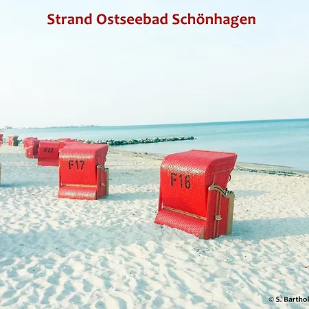 Wellenreiter - * Schönhagen